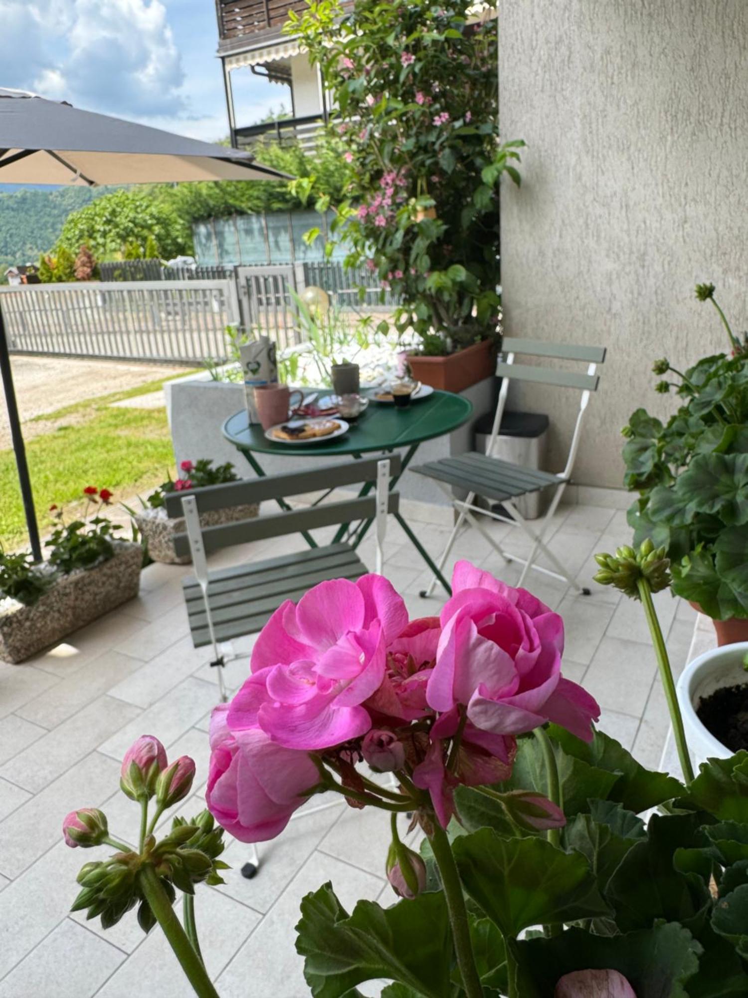 Green House Next - Lovely Apartment For Family And Free Parking Levico Terme Ngoại thất bức ảnh